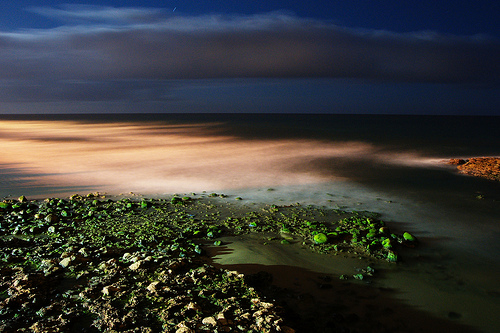 night seascape long exposure example