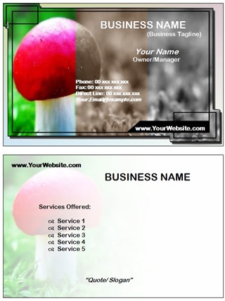 photography business card example