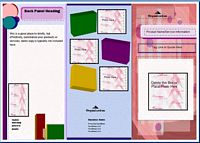 shapes leaflet example