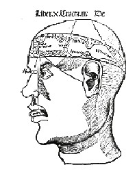 Science Lesson Plan-Human Senses